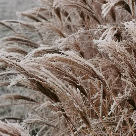 Апартаменты Deisterquartier, Am Naherholungsgebiet