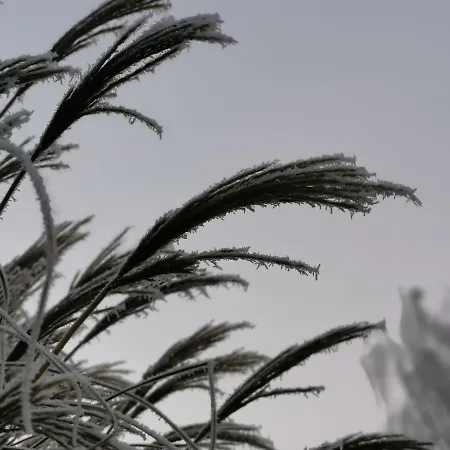 Deisterquartier, Am Naherholungsgebiet 公寓 巴辛豪森