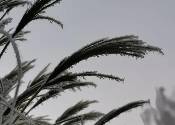 Deisterquartier, Am Naherholungsgebiet Apartamento Barsinghausen